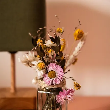 Family In Lille, Garden And Parking - 6/8p Feriehus *