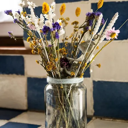 Family In Lille, Garden And Parking - 6/8p *